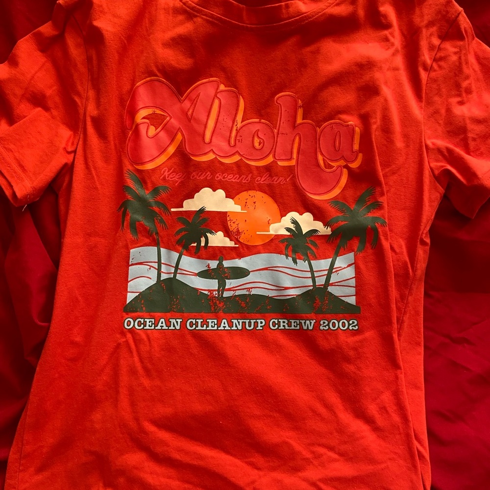 12 T-Shirts, 1 Sweater and 2 Flannel - Picture 5 of 15